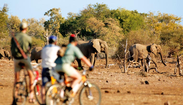 Msai-south-africa-multisport-8